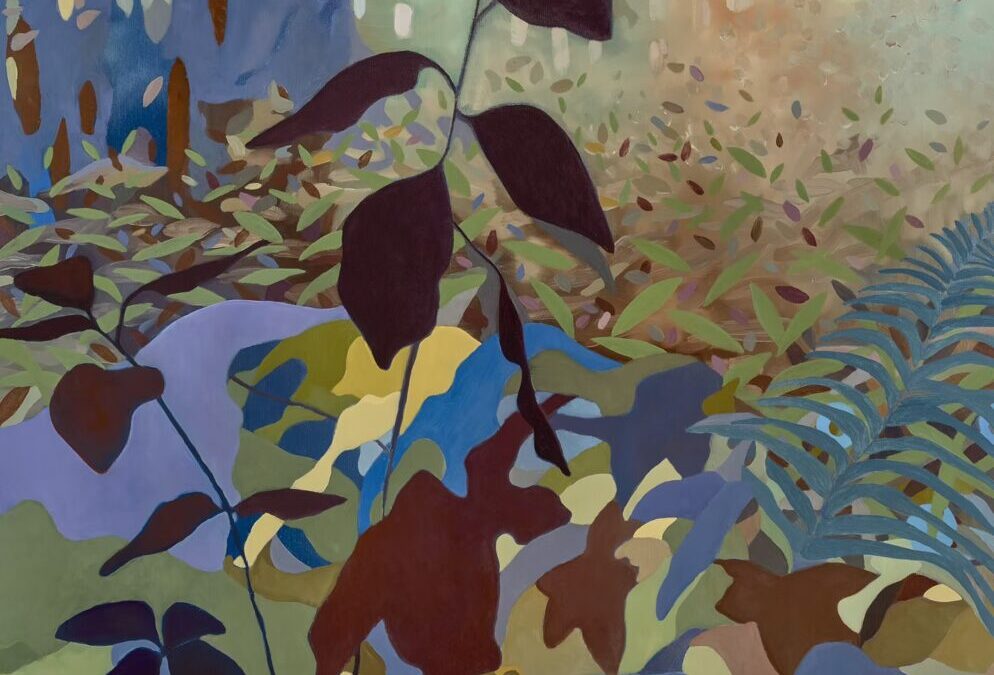Patty Haller: Bringing out the complexities of the forests of the Pacific Northwest