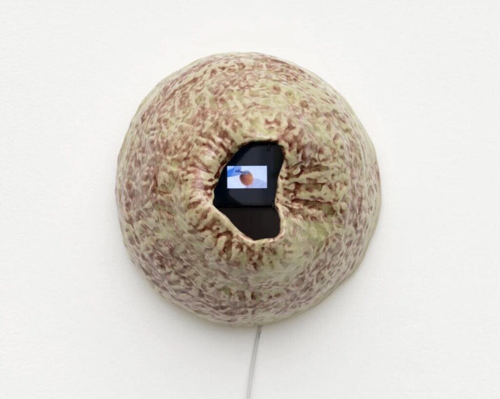 ANY BODY: an interview with Jia Jia
