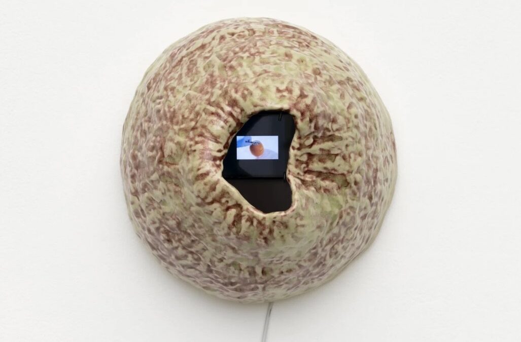ANY BODY: an interview with Jia Jia